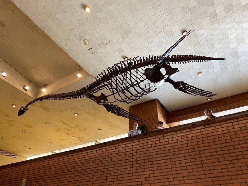 photo_2023-04-21_07-01-42 (1)