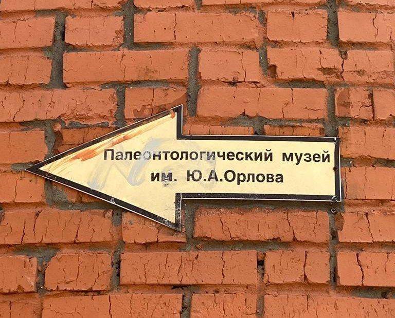 photo_2023-04-21_07-01-42 (2)