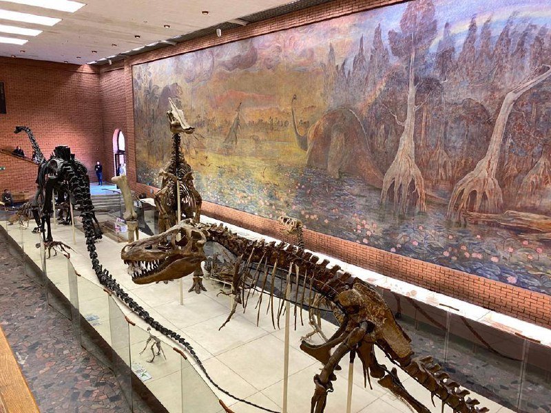 photo_2023-04-21_07-01-43 (2)