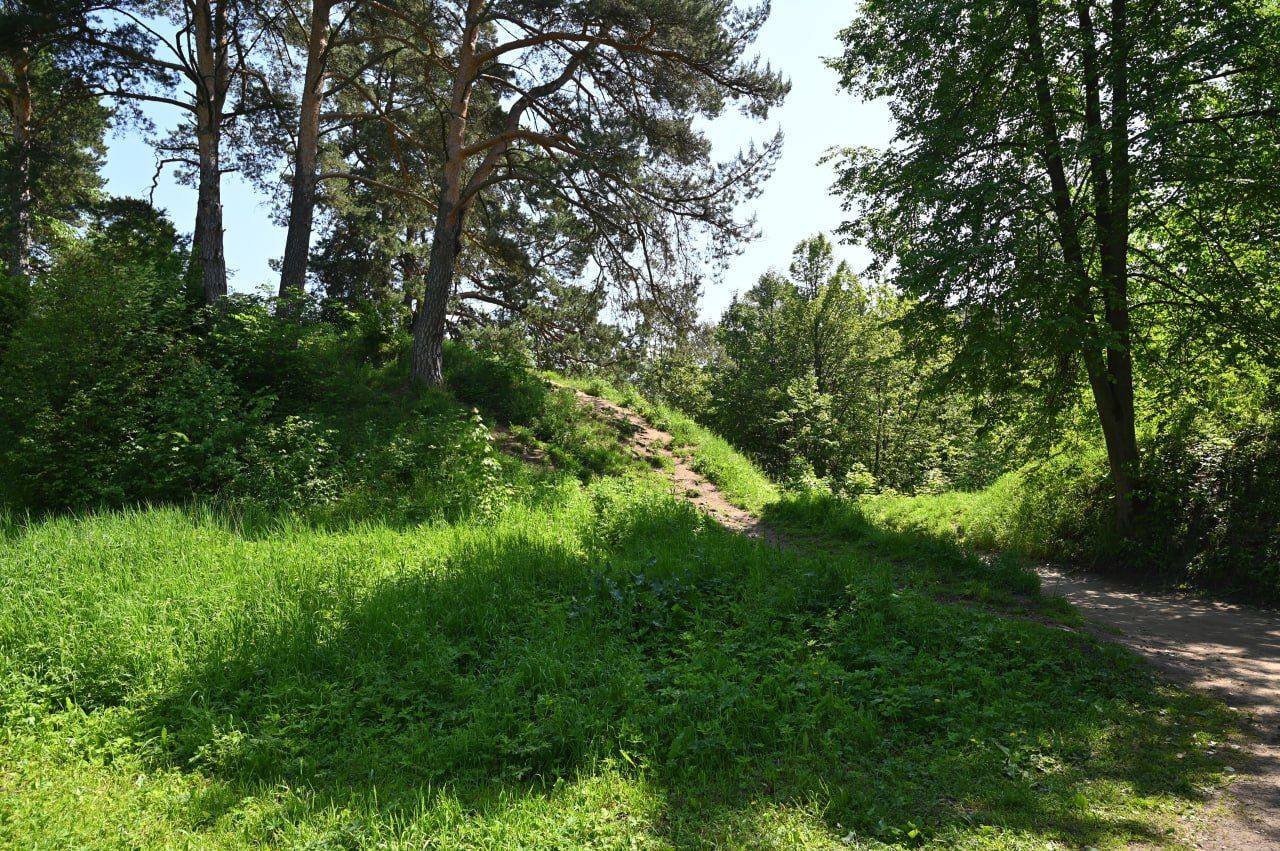 photo_2023-06-23_07-02-53 (8)