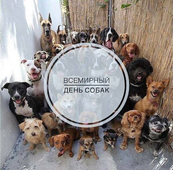 photo_2023-07-02_14-35-19