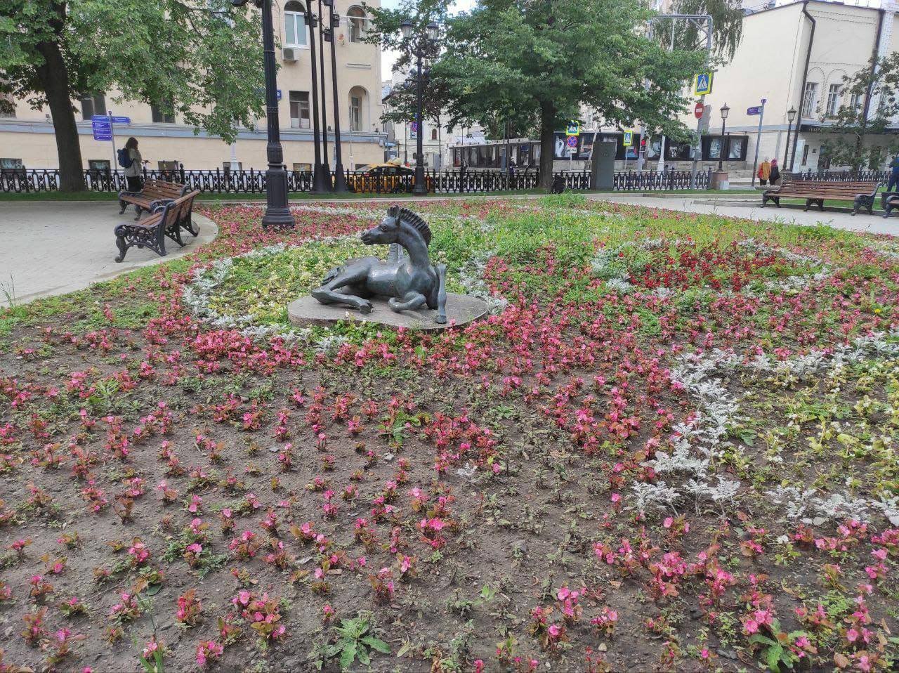 photo_2023-07-17_11-03-58