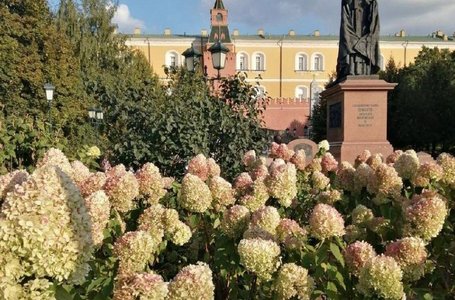 photo_2023-09-22_06-03-09