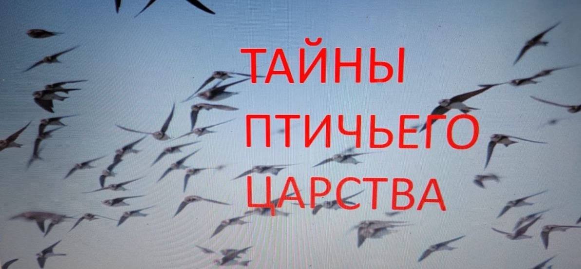 photo_2023-10-02_09-06-39 (2)