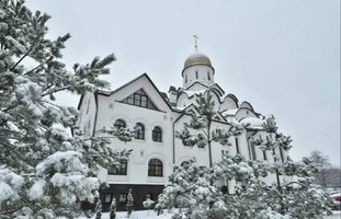 photo_2026-01-06_06-27-19