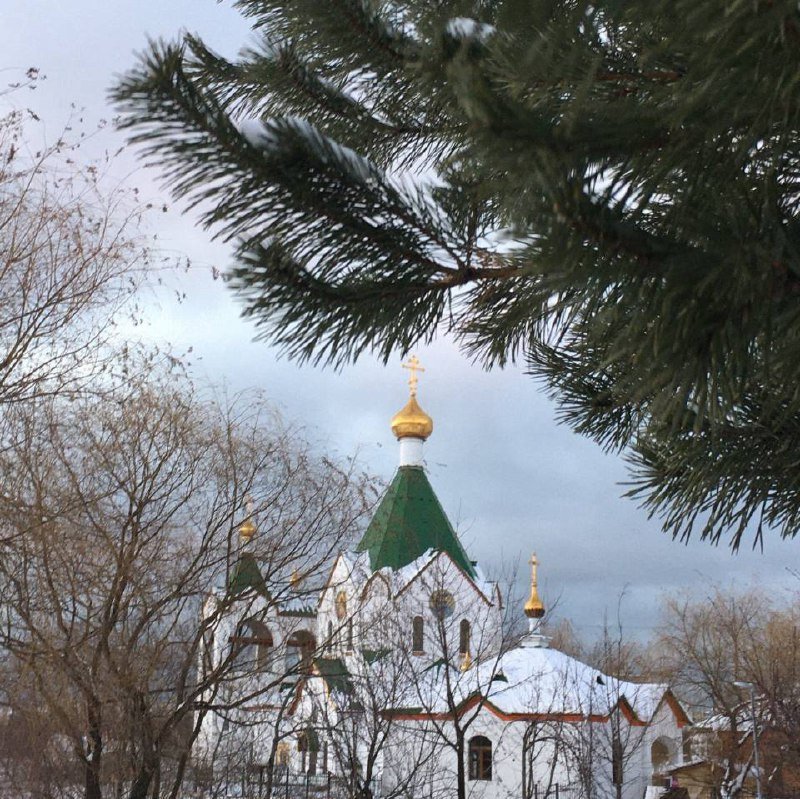 photo_2026-01-06_06-27-19 (1)