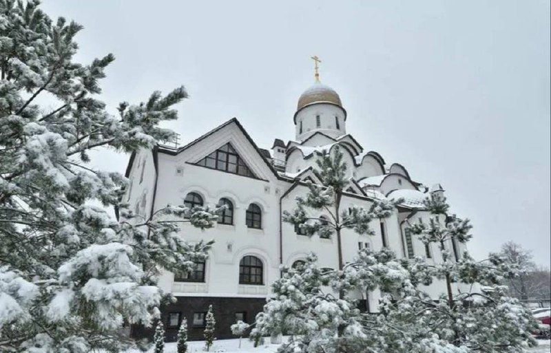 photo_2026-01-06_06-27-19 (3)