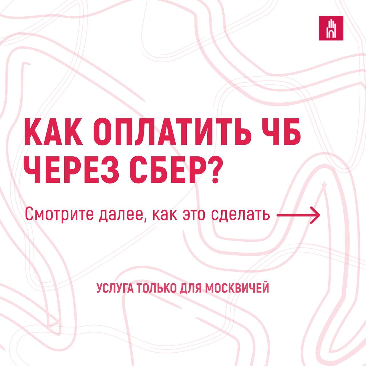 photo_2026-01-20_09-04-27 (6)